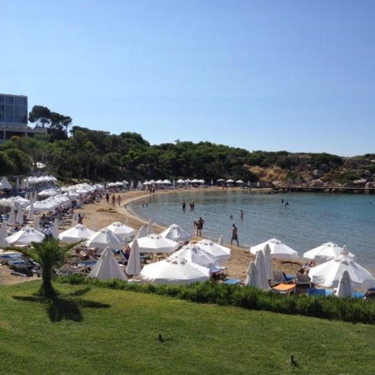 Queen Aphrodite Hotel Karpasa Exterior photo